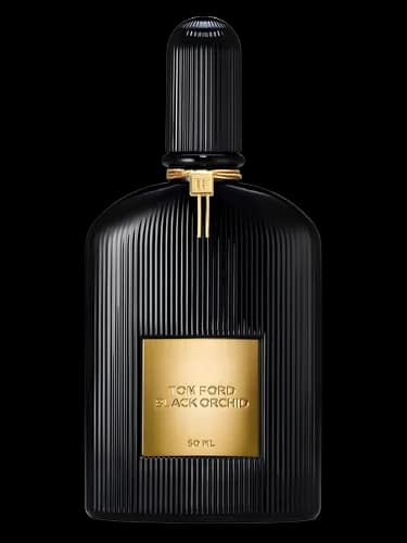 Black Orchid