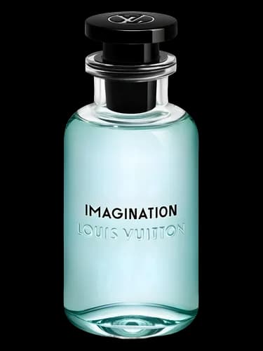 Imagination