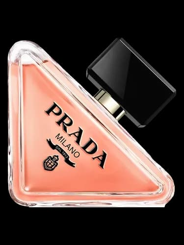 Prada Paradoxe